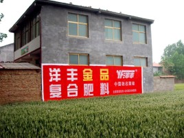 亳州如何让墙体广告展现最大化效果