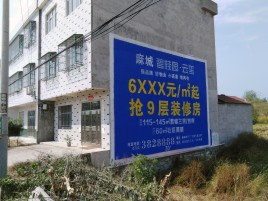 亳州墙体广告质量分析