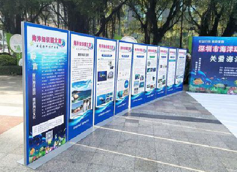 亳州KT板的种类和知识。